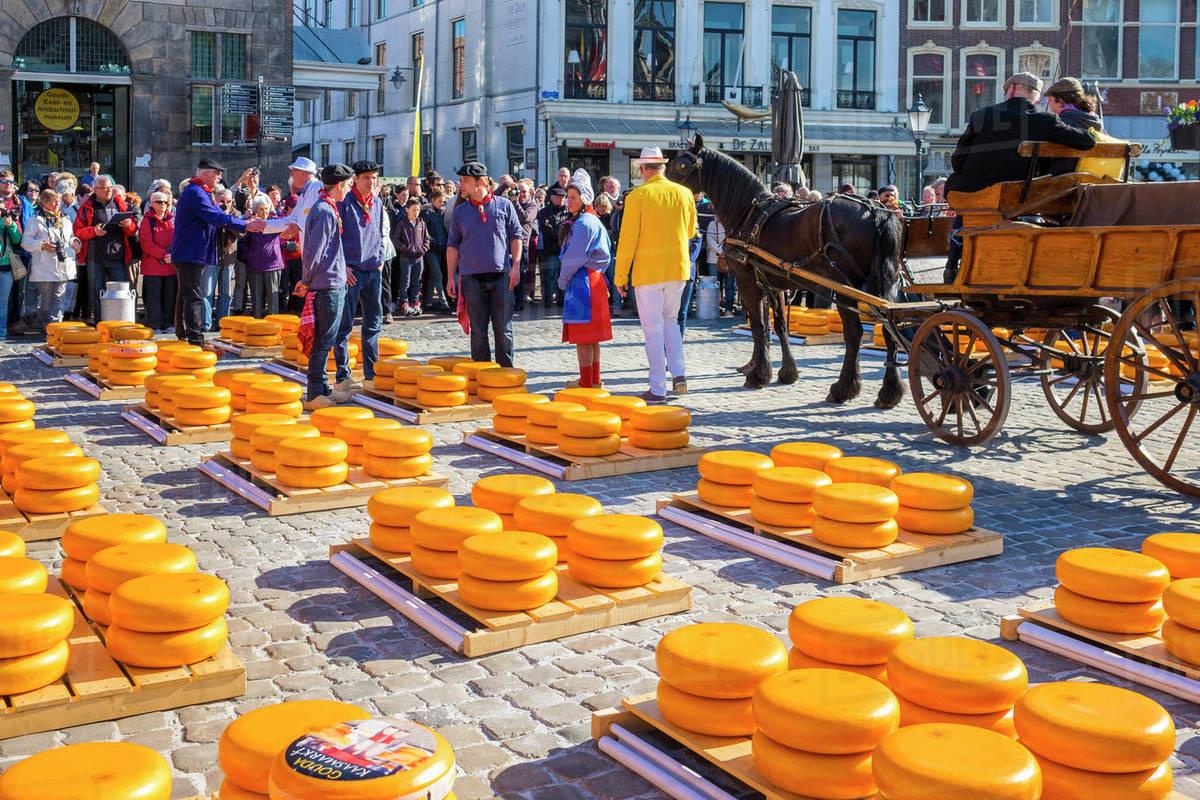 Doan Van Hau toi Ha Lan anh 10