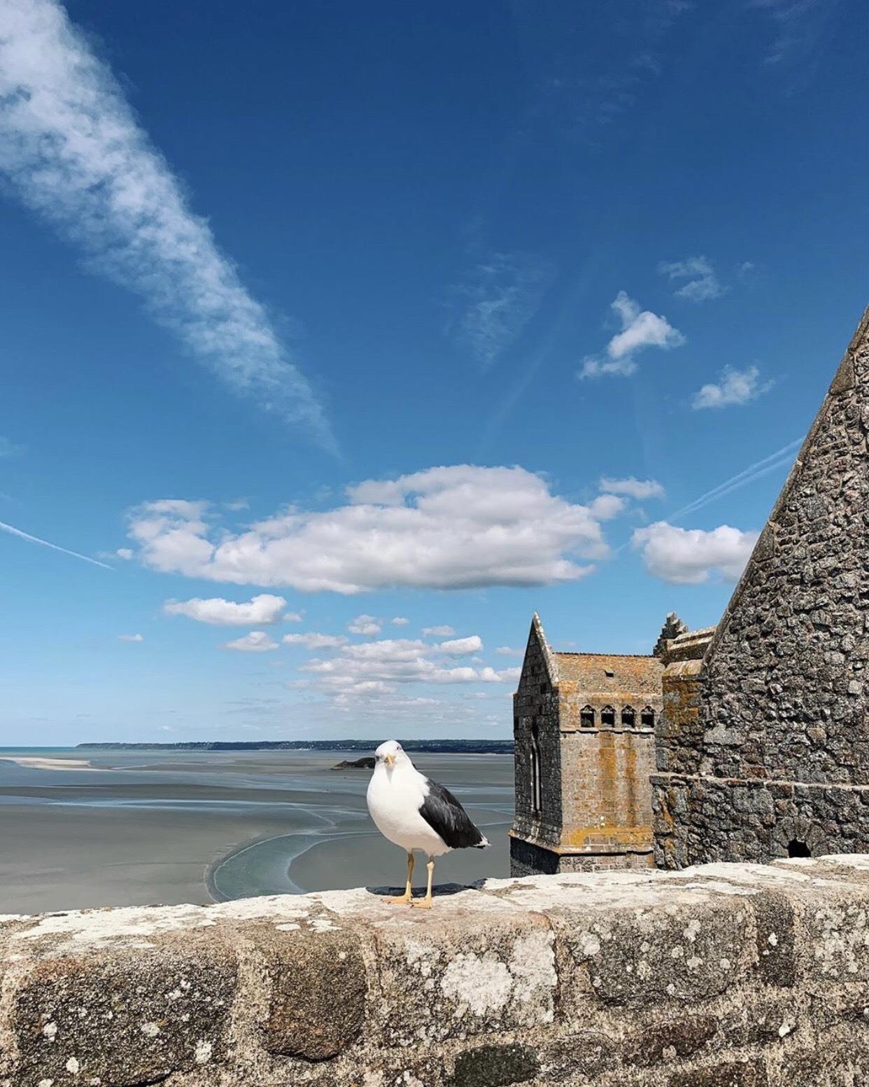 mont saint michel anh 16