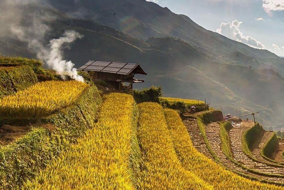 Ngam Mu Cang Chai mua lua chin tu flycam hinh anh