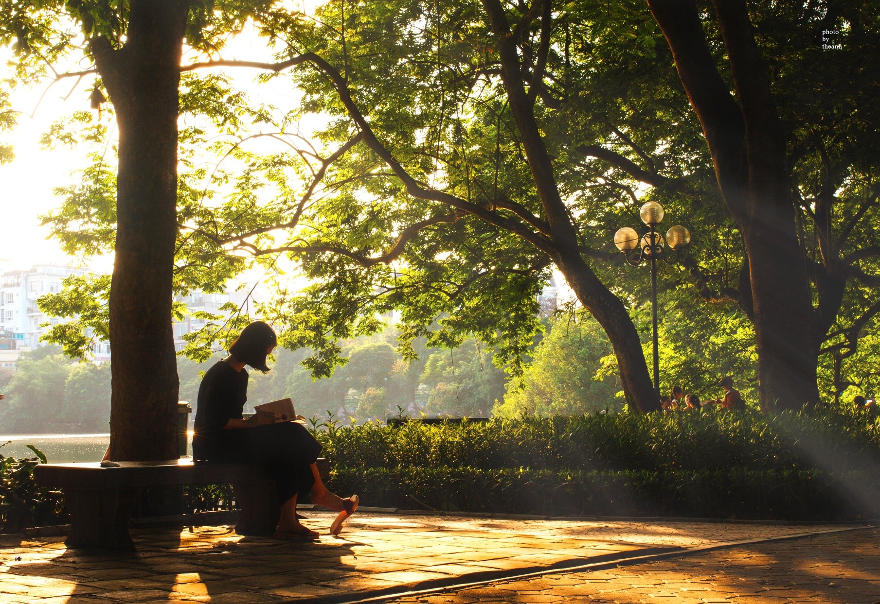 mua thu ha noi anh 7