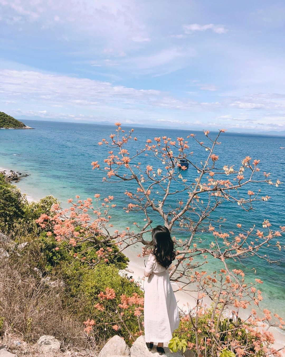 Cay hoa ngo dong anh 7