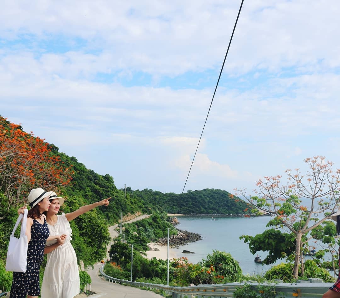 Cay hoa ngo dong anh 11