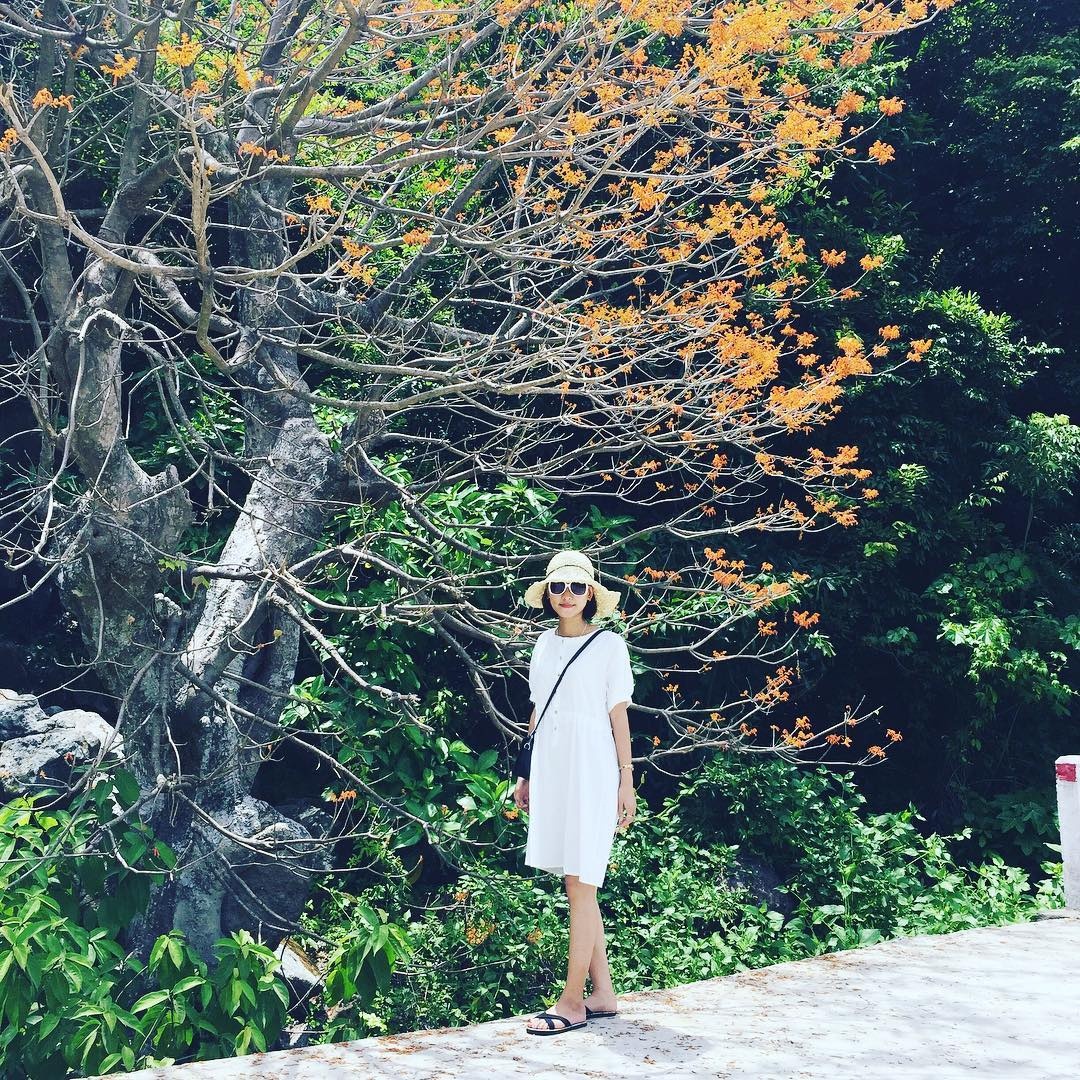 Cay hoa ngo dong anh 9