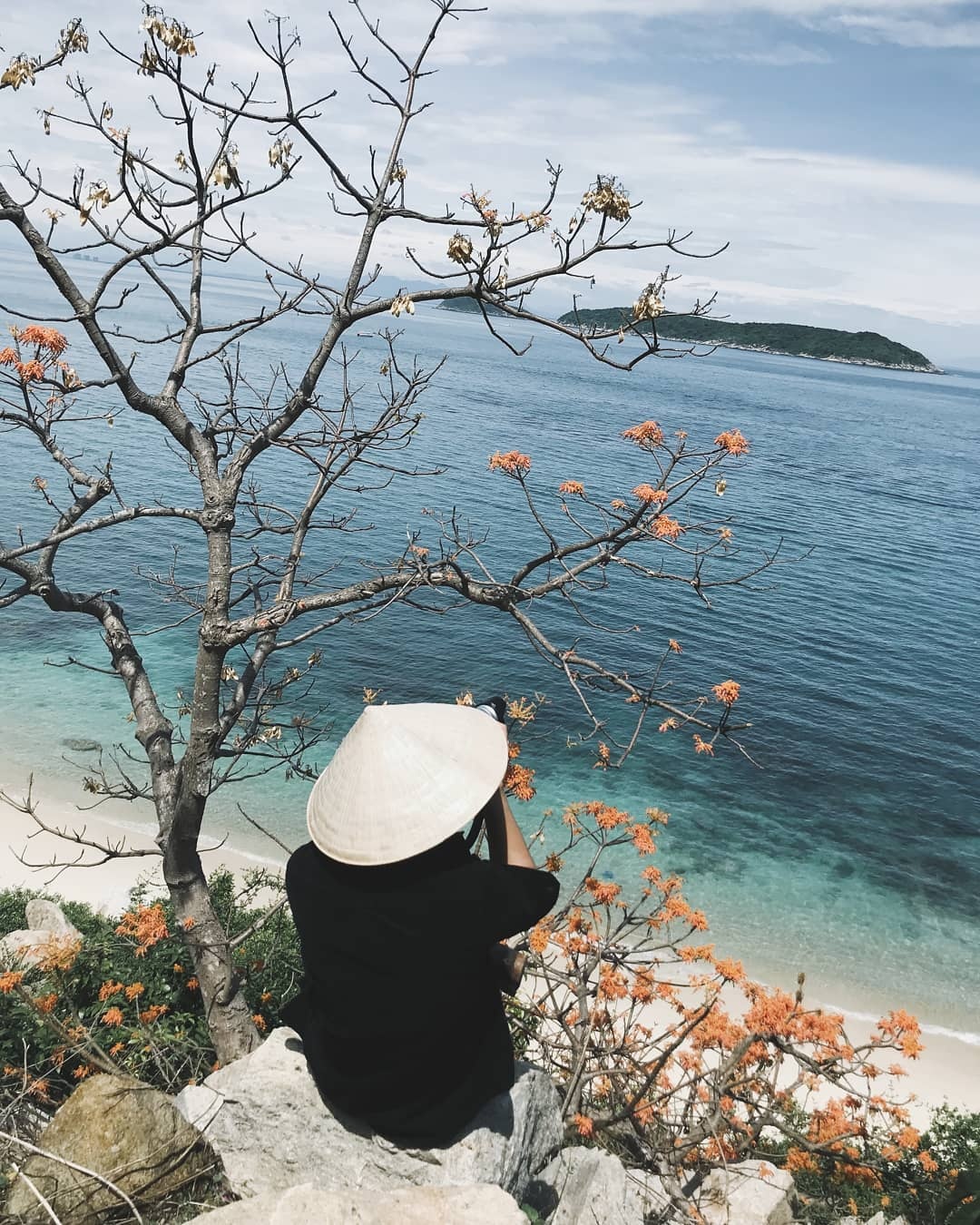 Cay hoa ngo dong anh 17