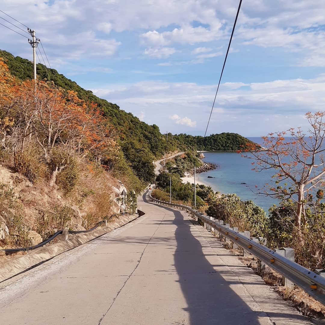 Cay hoa ngo dong anh 3