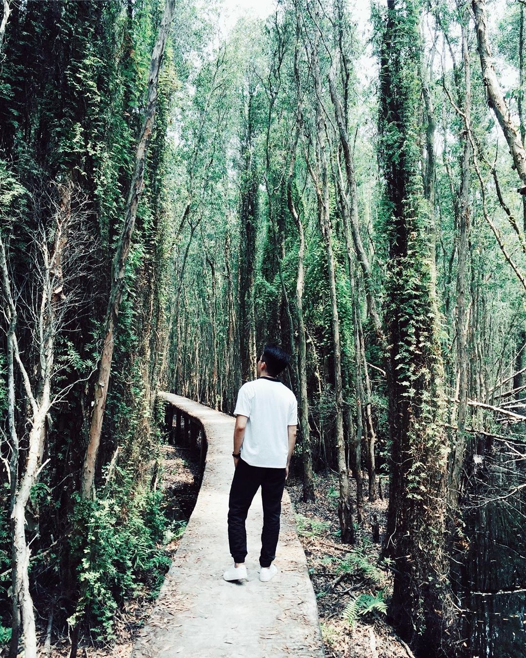 khu sinh thai hap dan anh 3