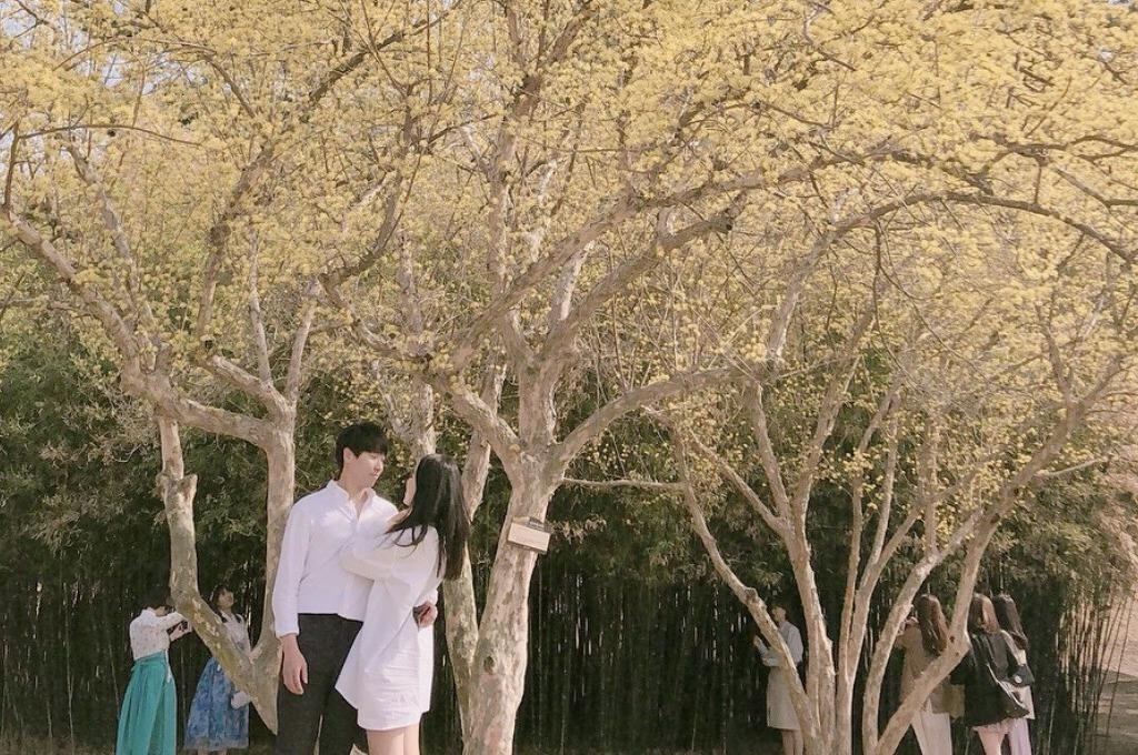 Check-in 3 dia diem dep nhu phim trong mua thu Han Quoc hinh anh