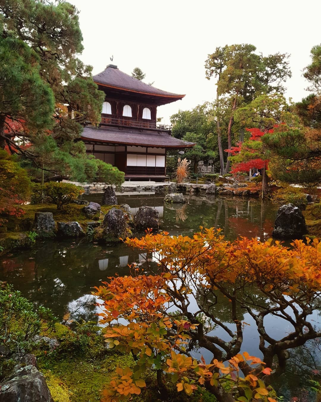 Mua la do Nhat Ban anh 8