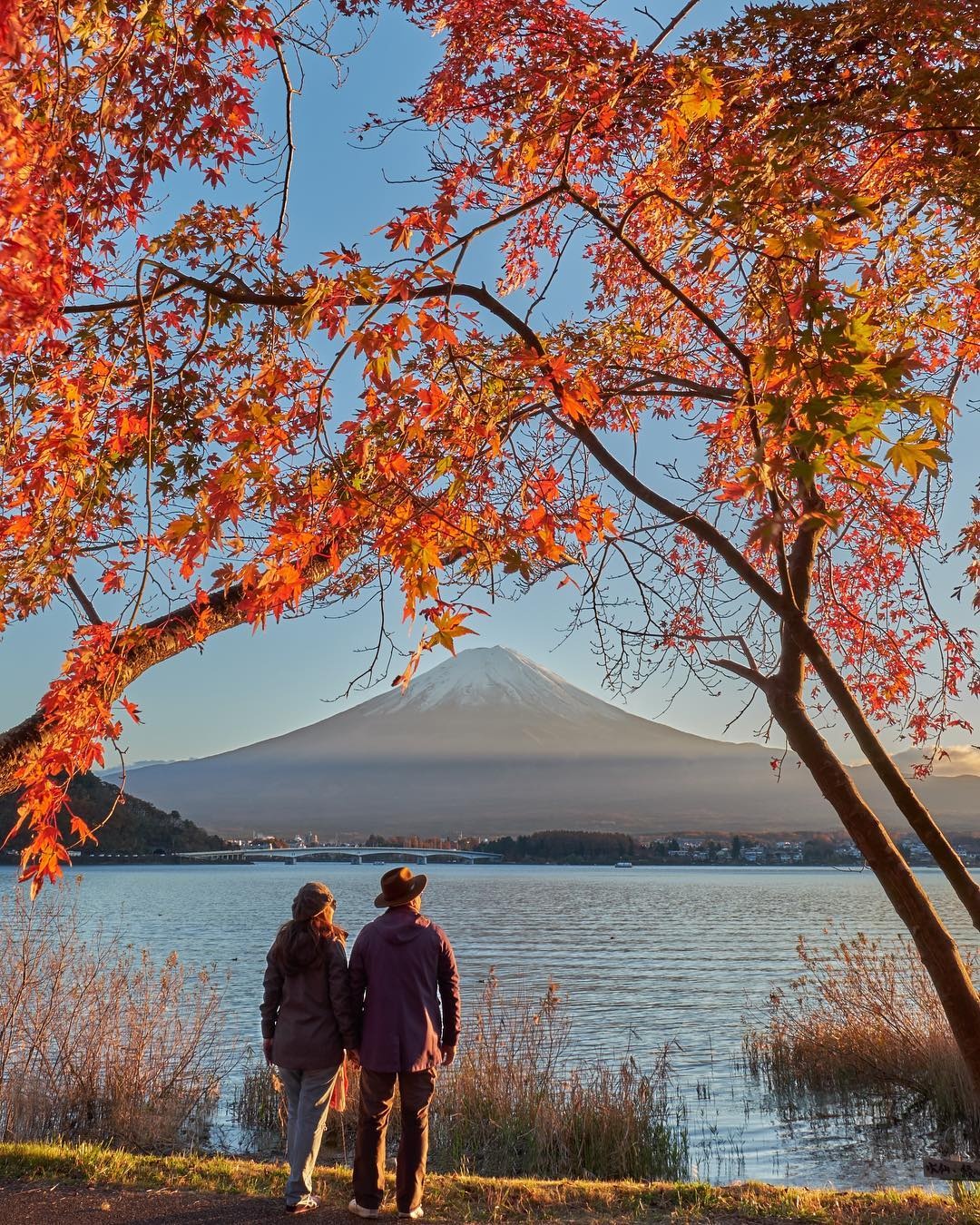 Mua la do Nhat Ban anh 17