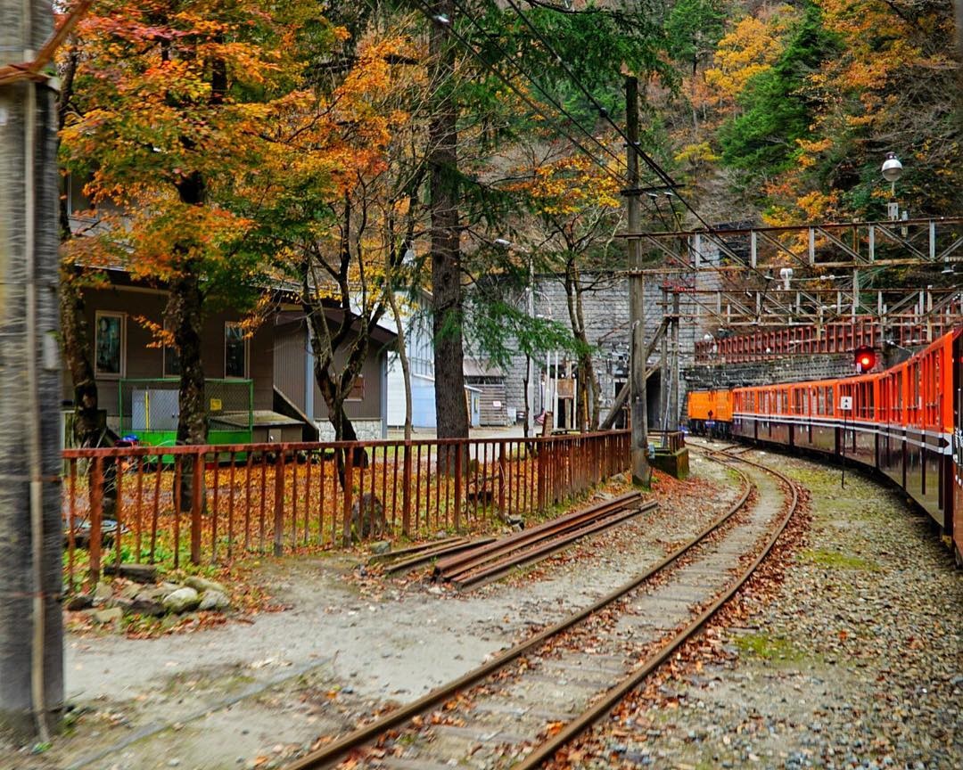 Mua la do Nhat Ban anh 19