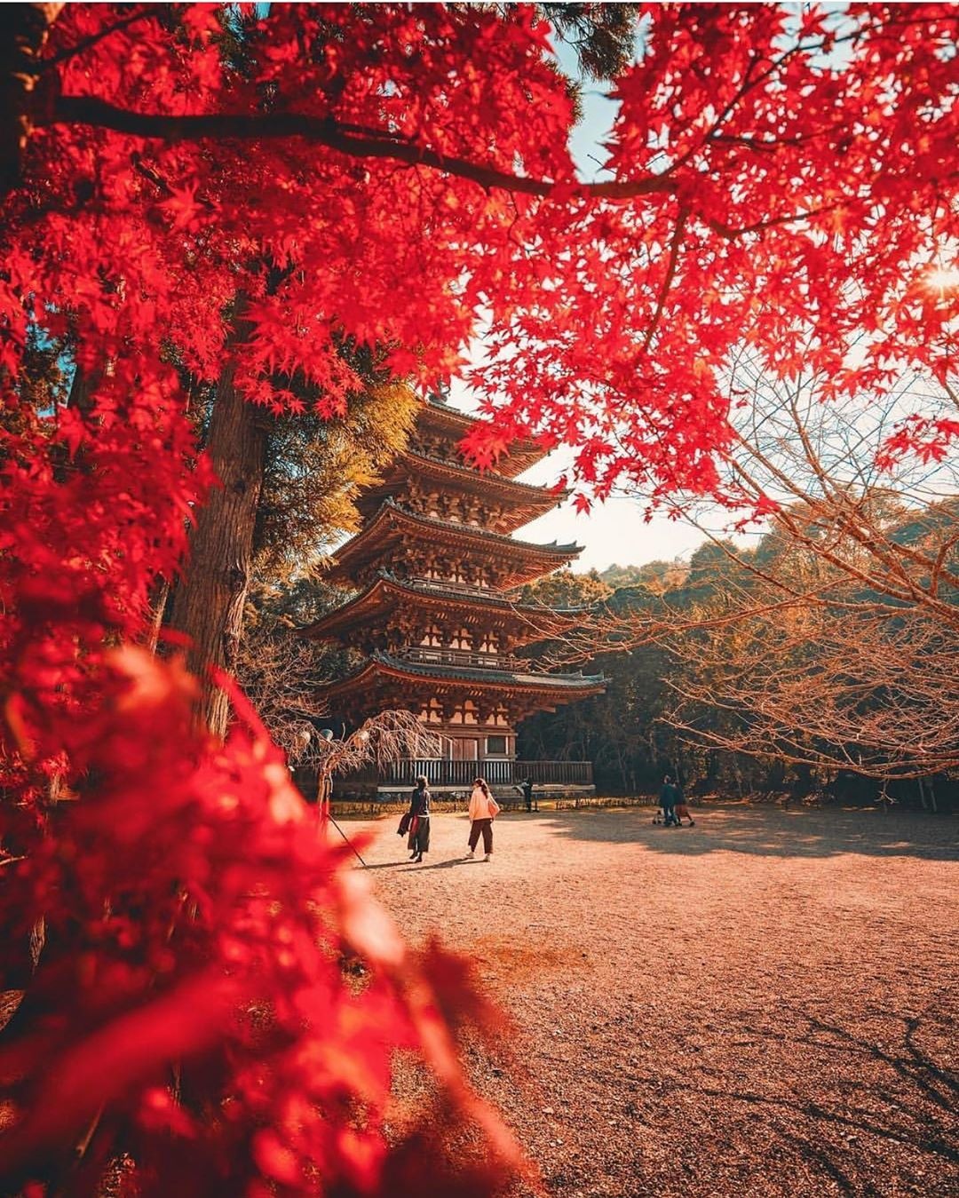 Mua la do Nhat Ban anh 14