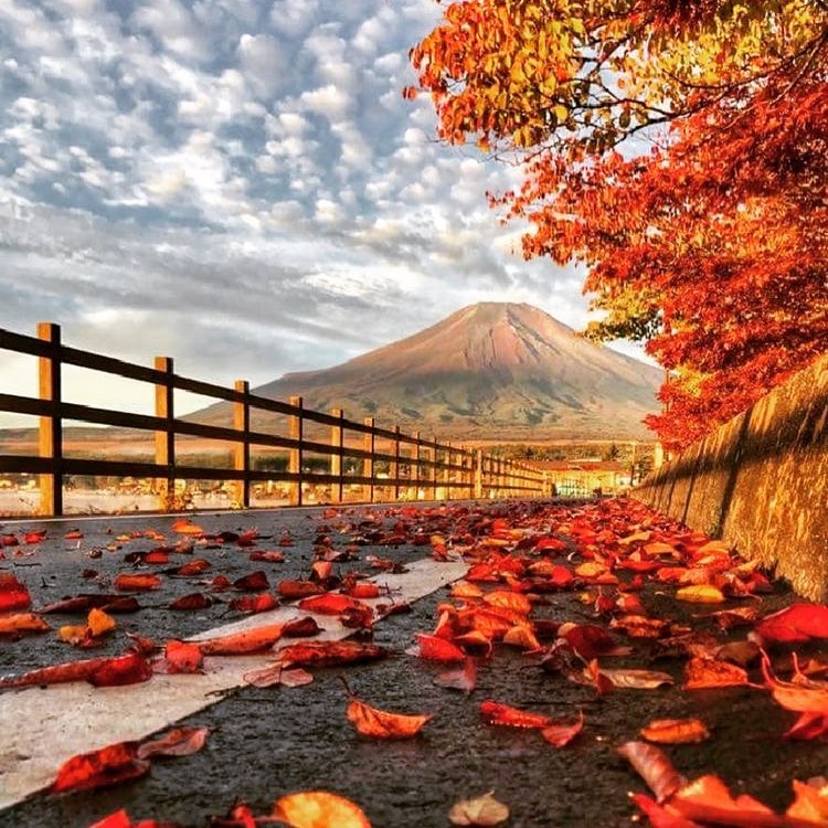 Mua la do Nhat Ban anh 12