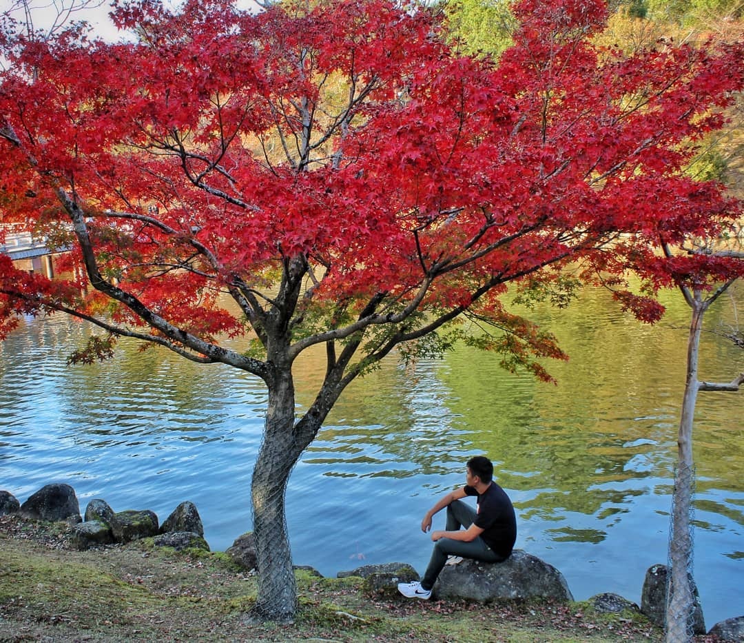 Mua la do Nhat Ban anh 4