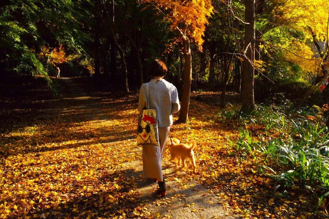 Mua la do Nhat Ban anh 13