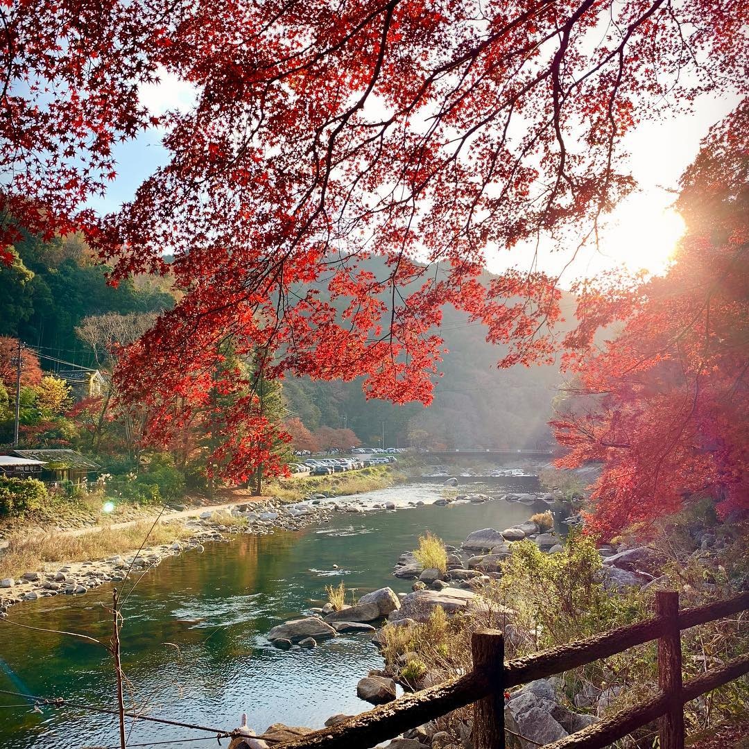 Mua la do Nhat Ban anh 3