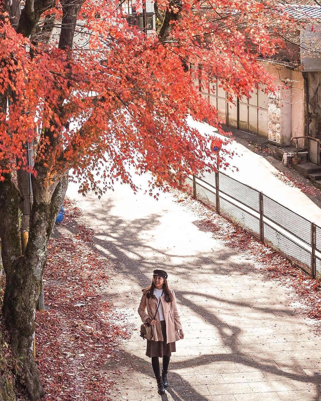 Mua la do Nhat Ban anh 6