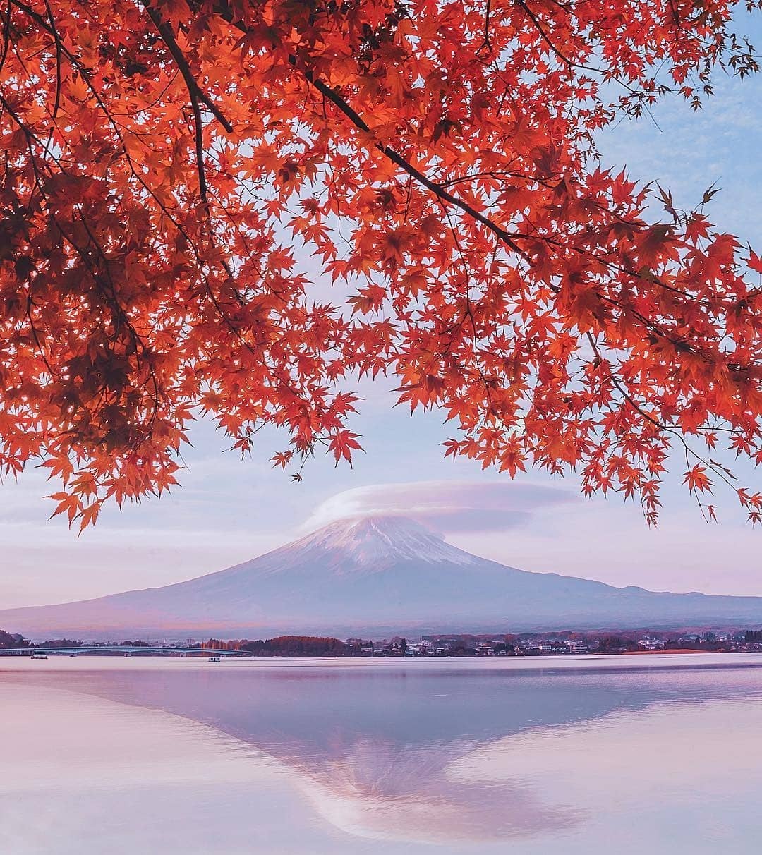 Mua la do Nhat Ban anh 2