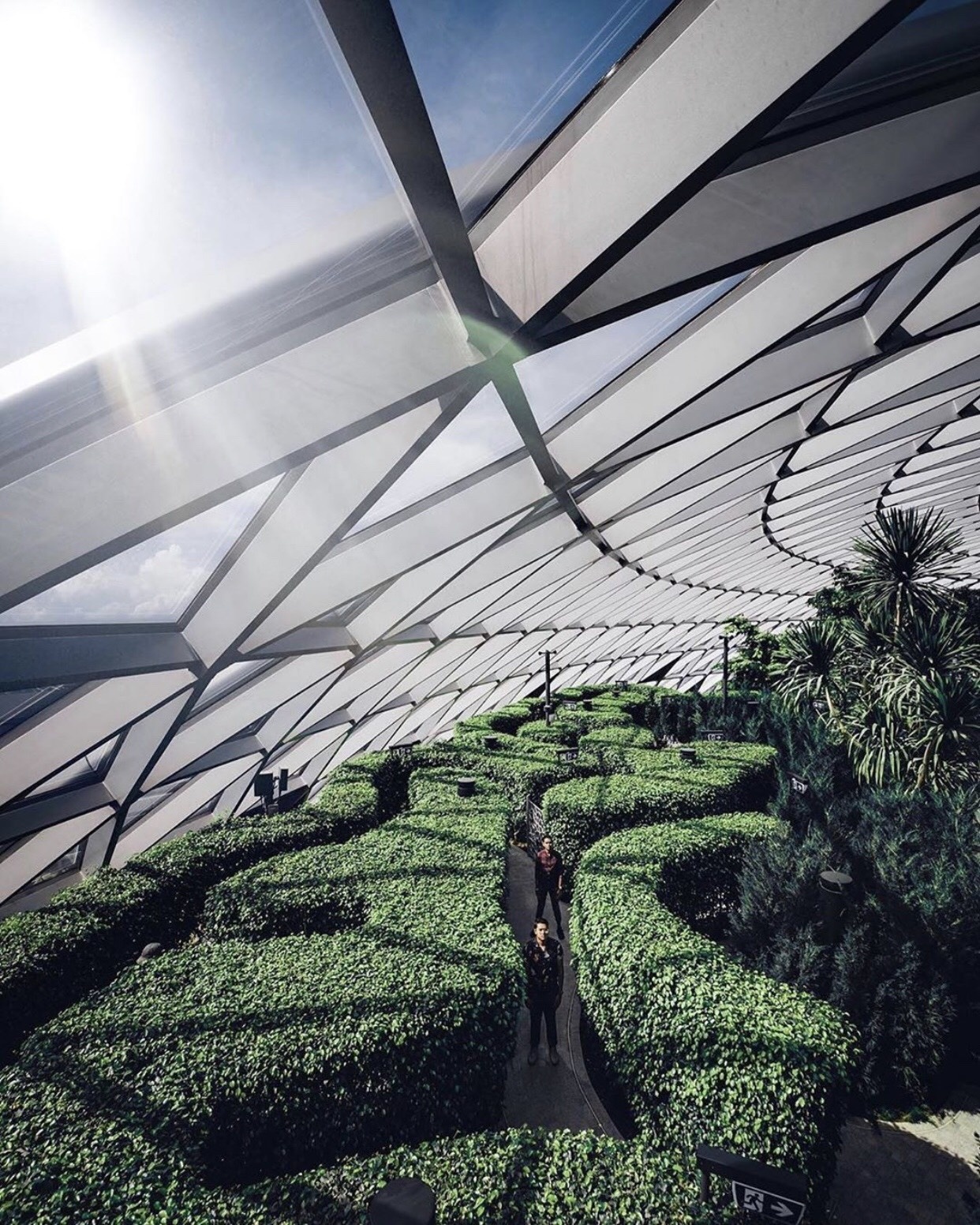 san bay changi anh 13