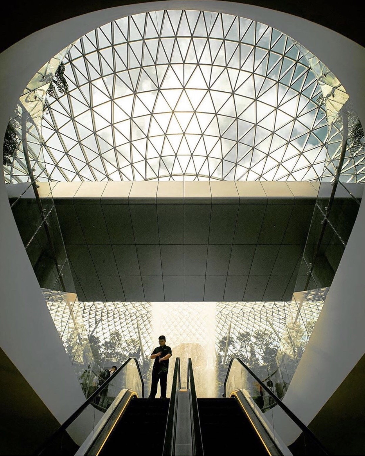 san bay changi anh 14