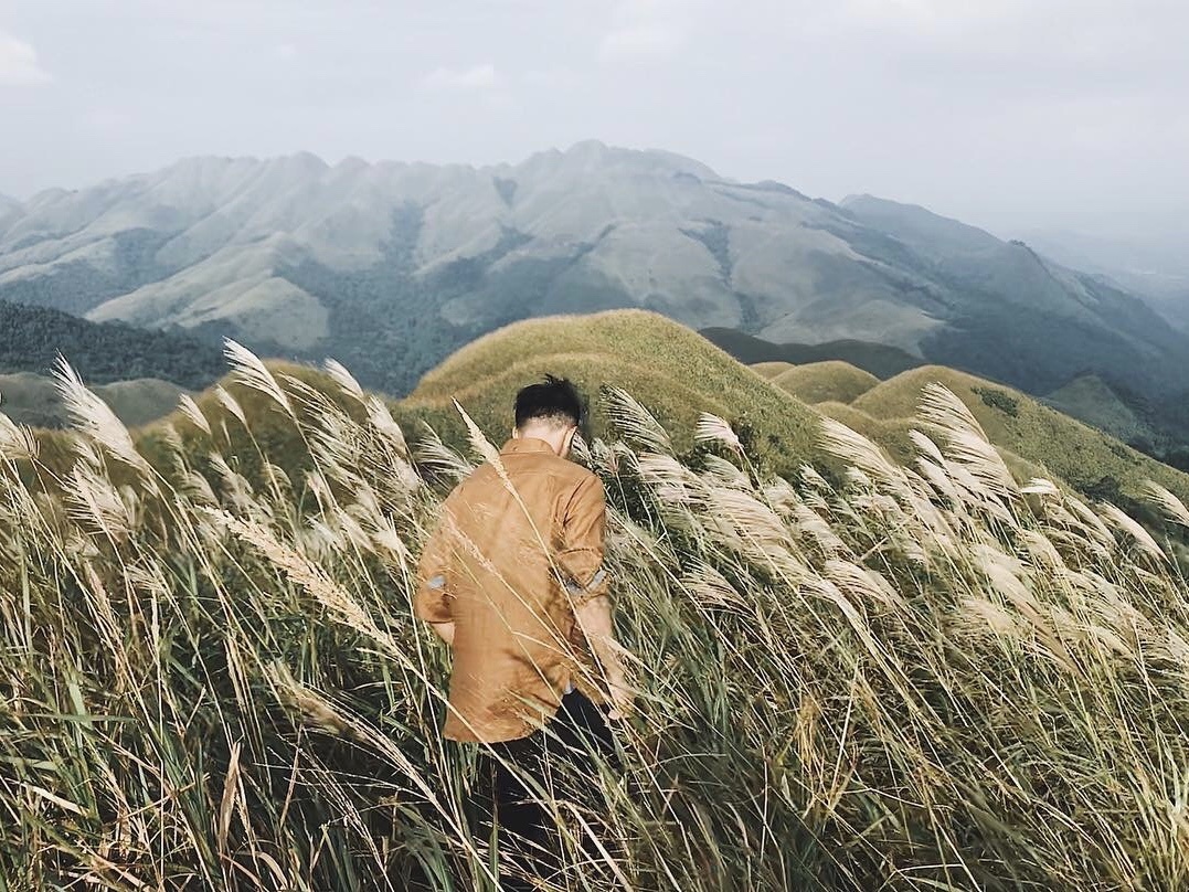 dong lau binh lieu anh 5