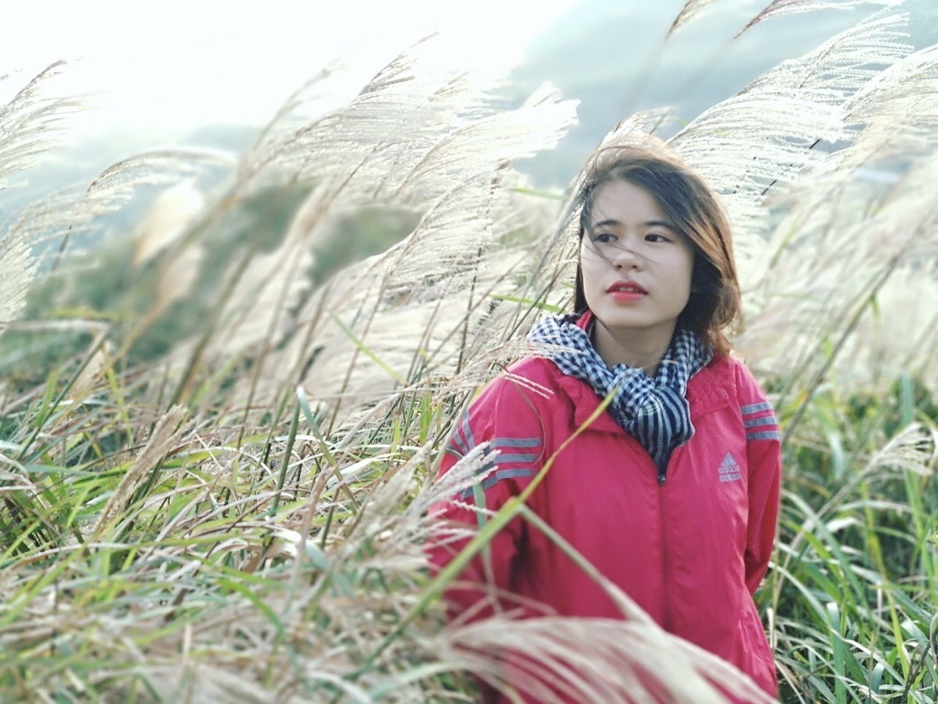 dong lau binh lieu anh 6