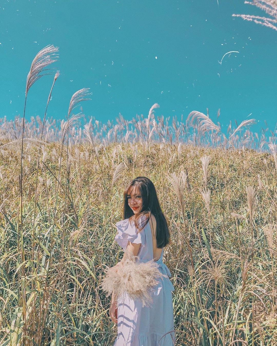 dong lau binh lieu anh 8