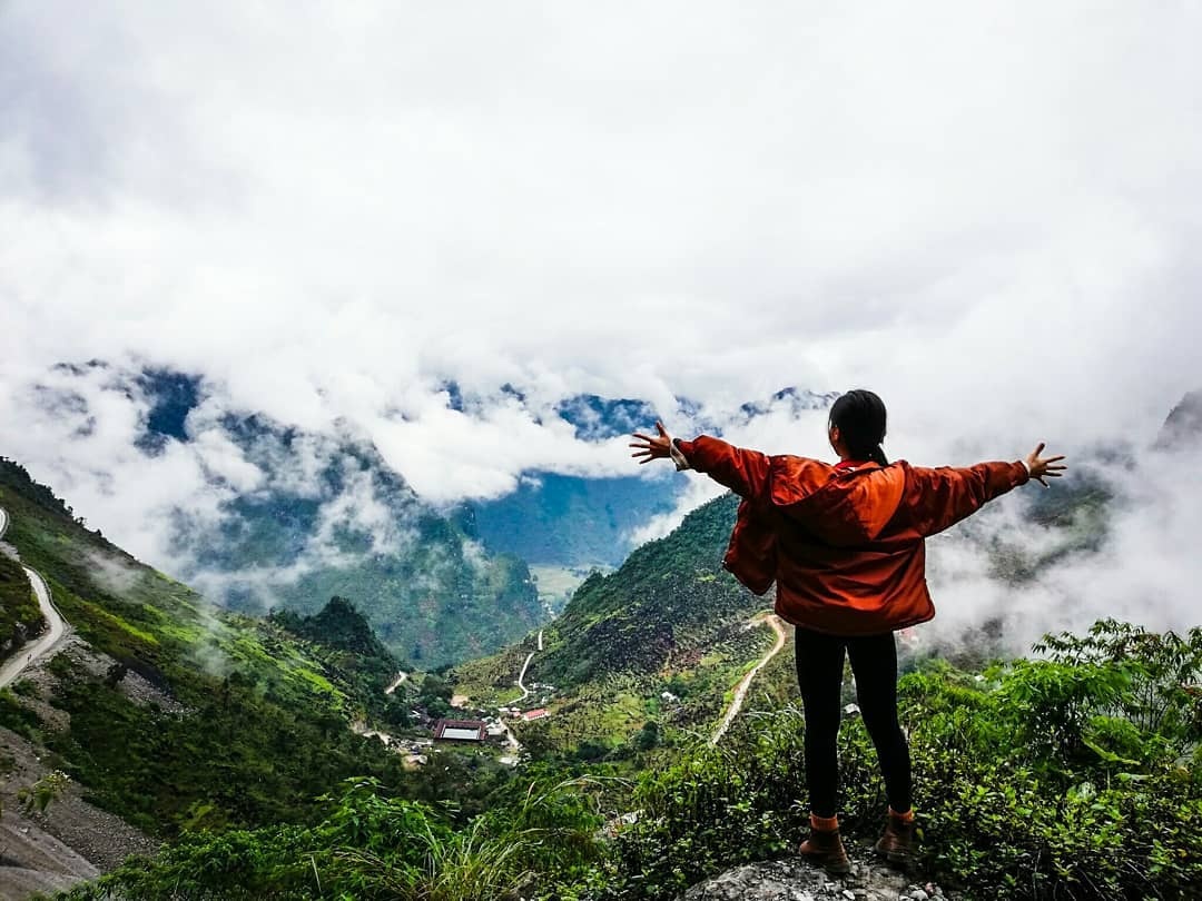 hoa tam giac mach anh 11