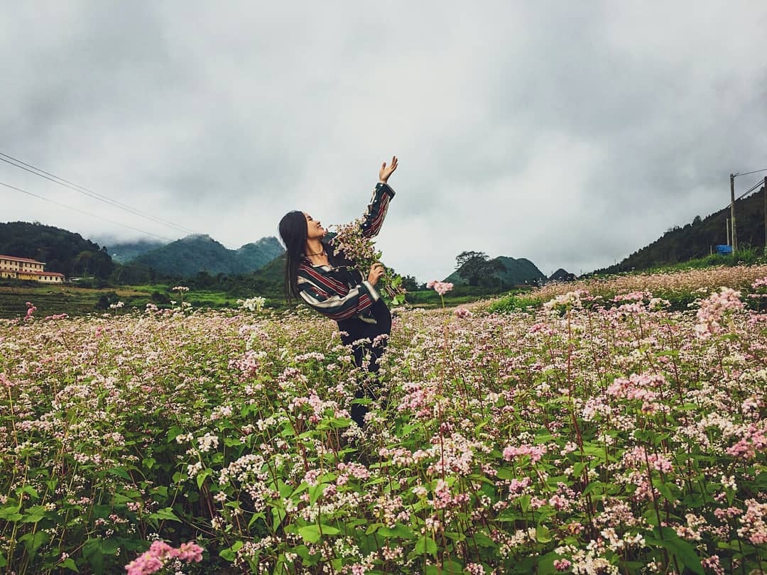 hoa tam giac mach anh 14