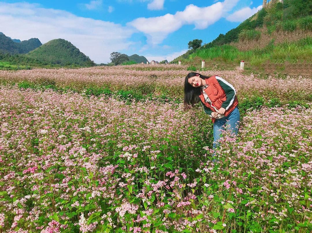 hoa tam giac mach anh 22