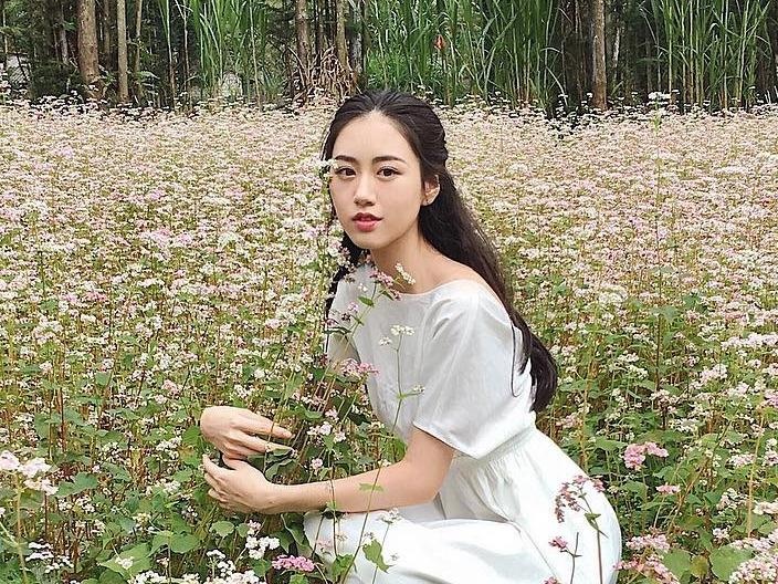 7 dia diem check-in mua hoa tam giac mach Ha Giang hinh anh