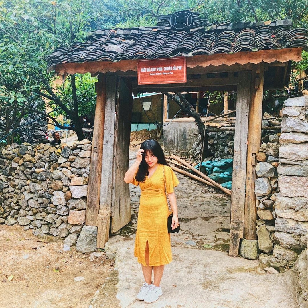 hoa tam giac mach anh 4