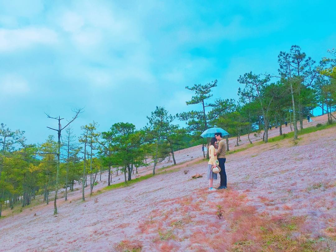 chup anh da lat anh 15