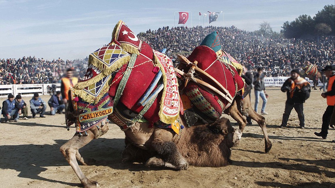 phong tục kì lạ ảnh 5 phong tuc ki la anh 5