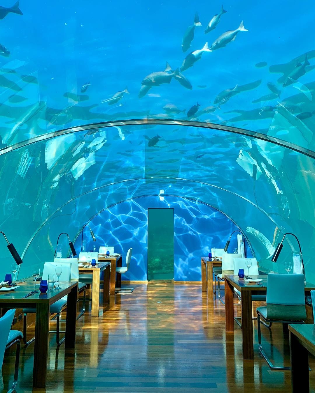 nha hang doc dao anh 2