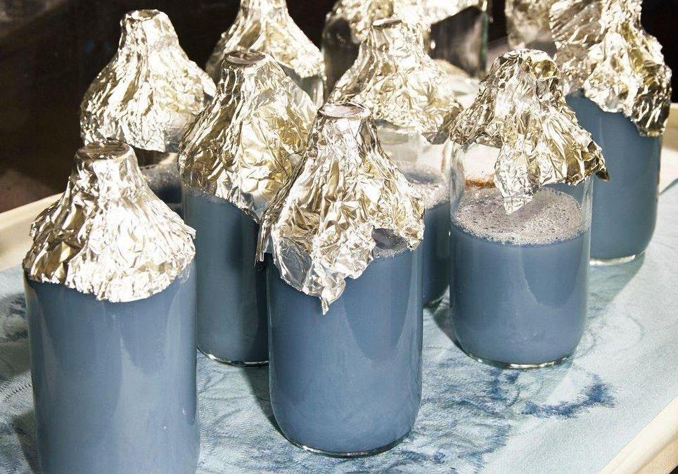 Mau dong vat dat nhat the gioi, gia hang chuc nghin USD/lit hinh anh