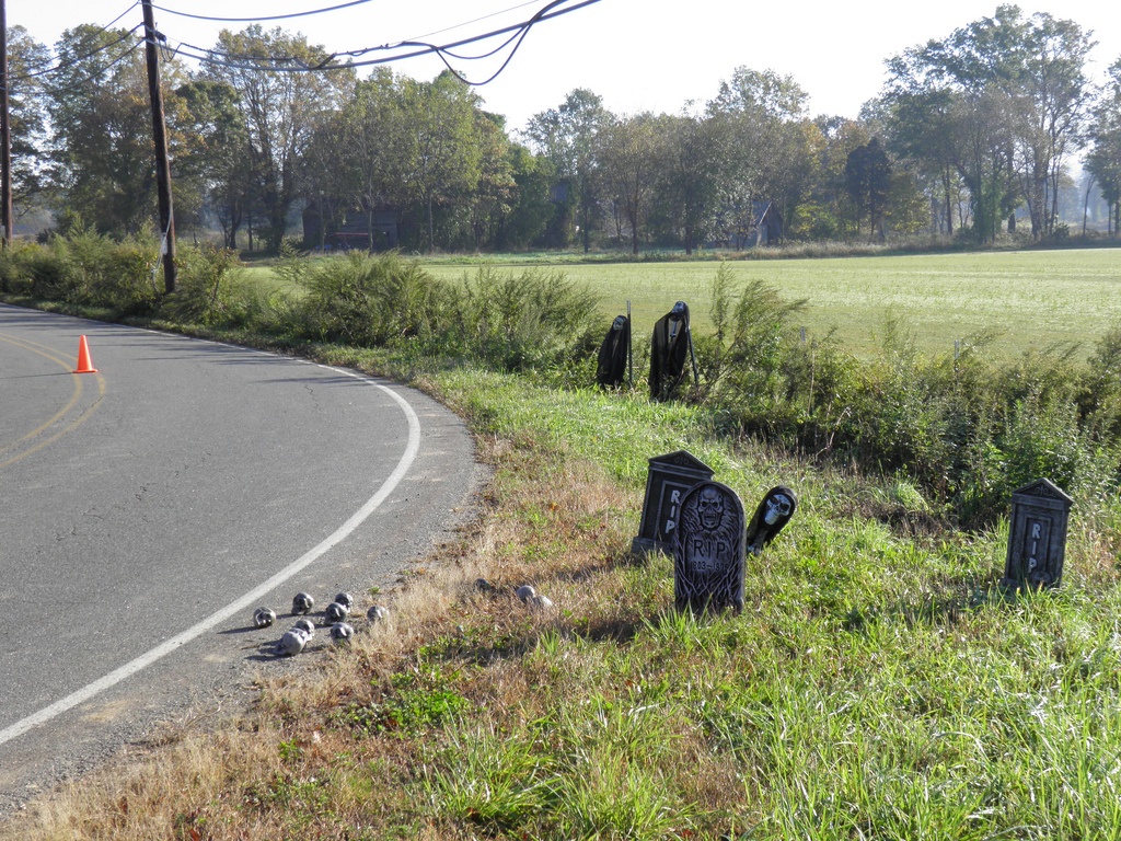 dia diem dang so anh 5