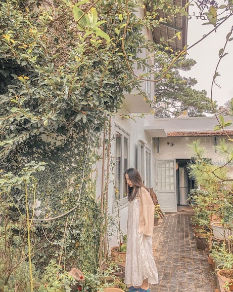 Homestay áp mái Đà Lạt  ảnh 11 Homestay ap mai Da Lat anh 11
