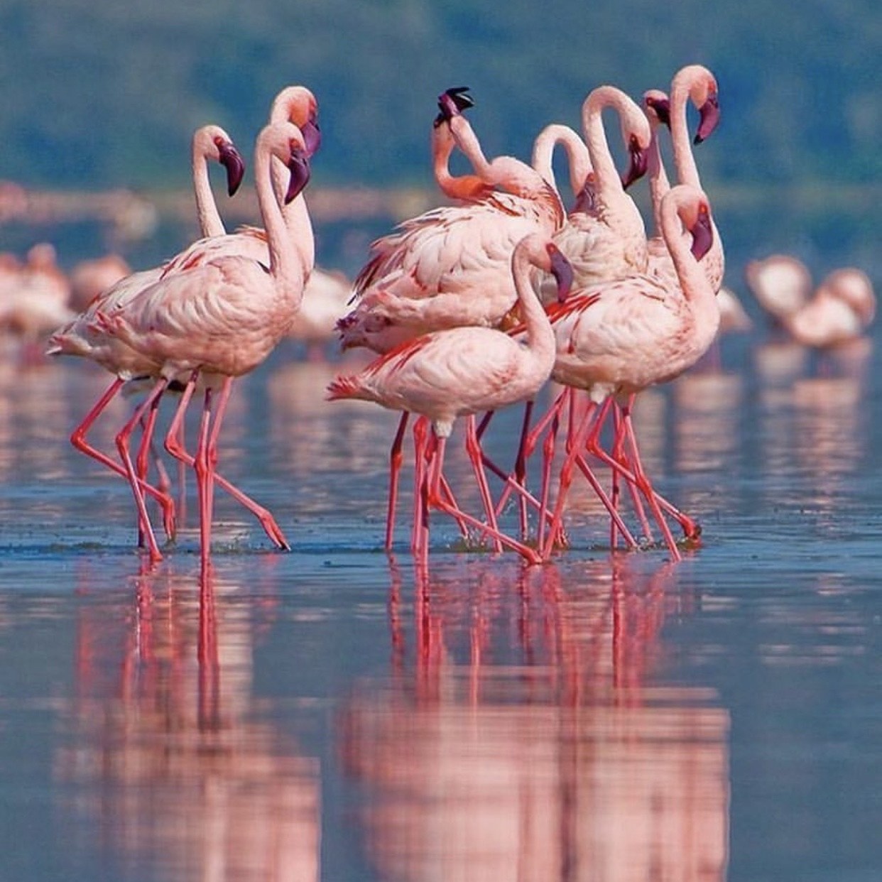 ho dep nhat the gioi anh 1