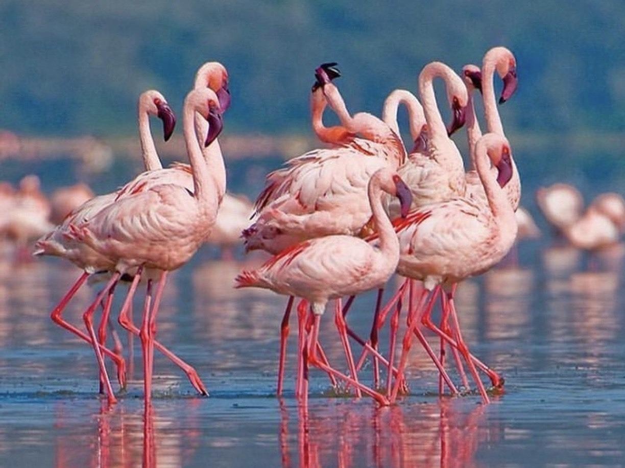 5 ho nuoc dep noi tieng boi sac mau hinh anh