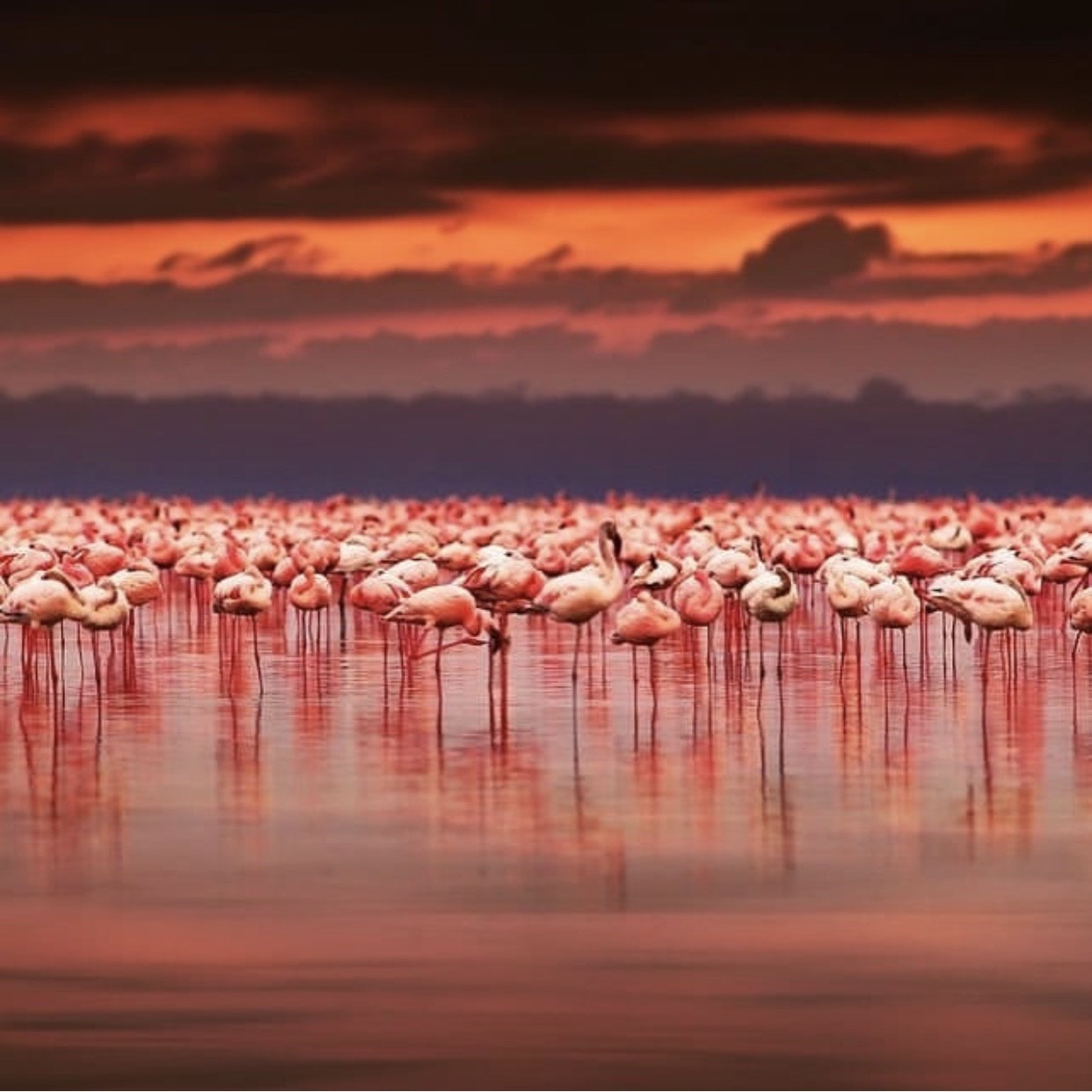 ho dep nhat the gioi anh 3