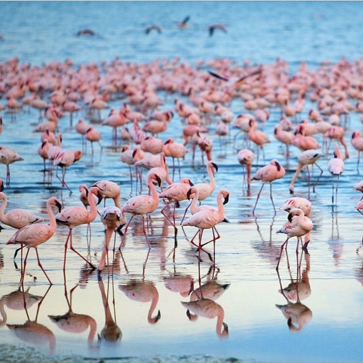 ho dep nhat the gioi anh 2