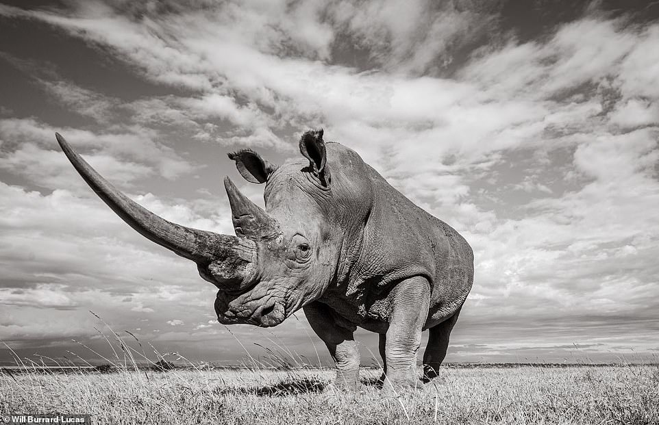 cuoc song cua te giac duoi ong kinh nhiep anh gia anh 9