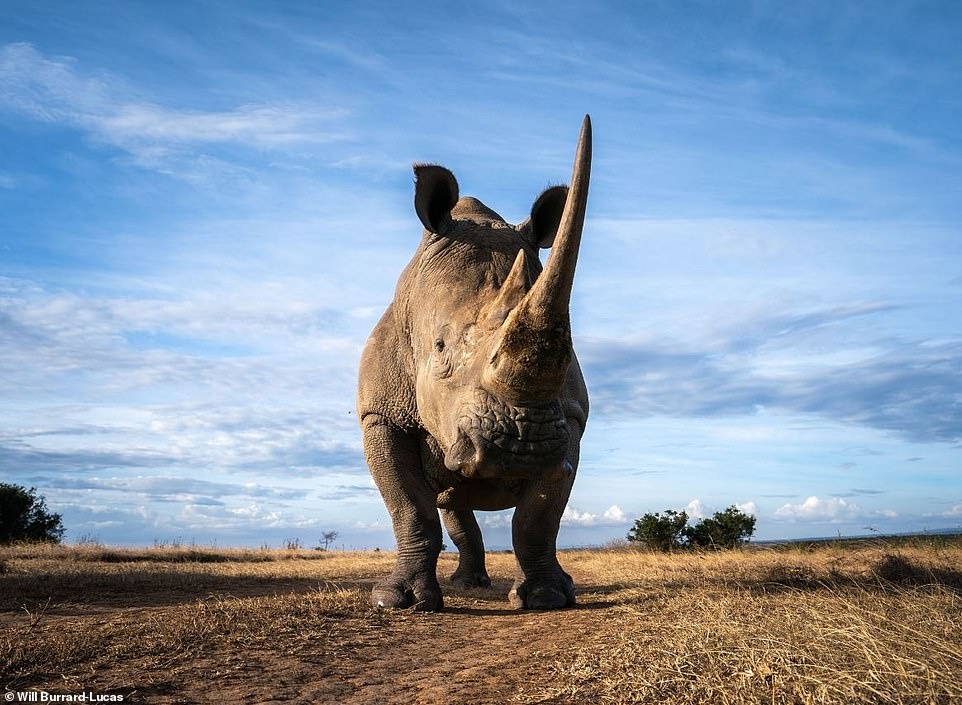 cuoc song cua te giac duoi ong kinh nhiep anh gia anh 16