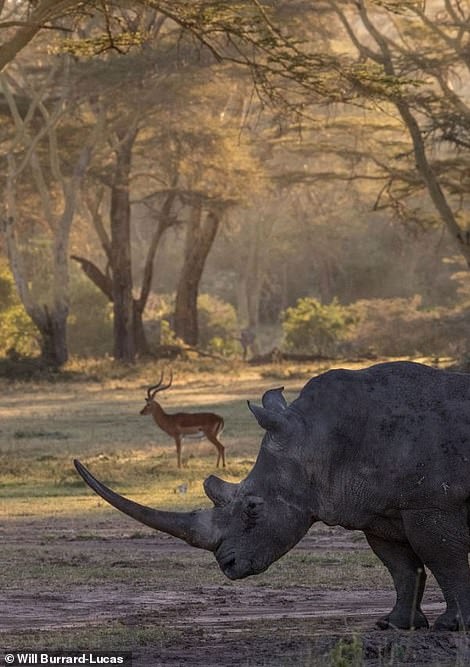 cuoc song cua te giac duoi ong kinh nhiep anh gia anh 6