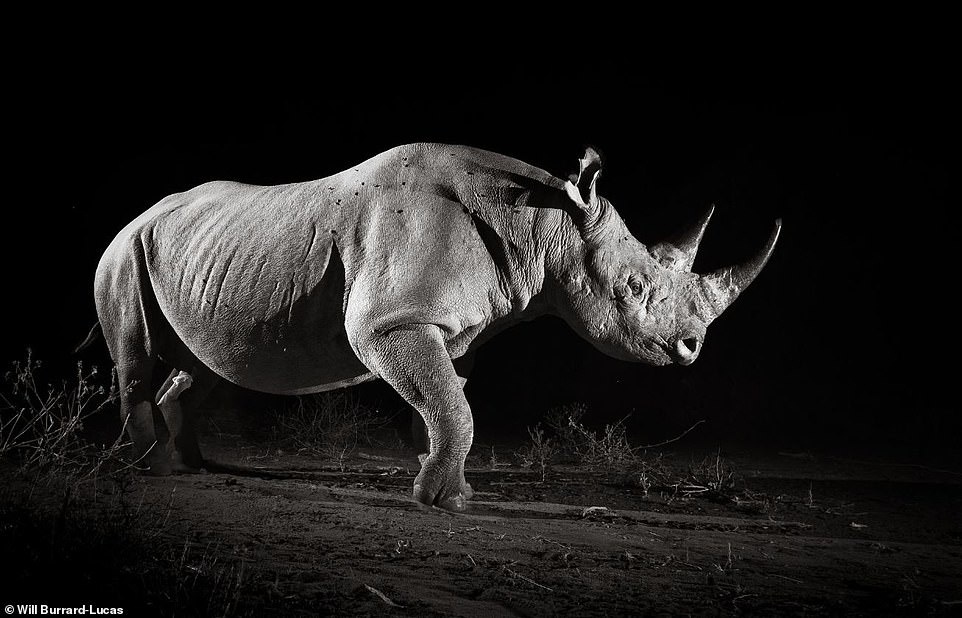 cuoc song cua te giac duoi ong kinh nhiep anh gia anh 2