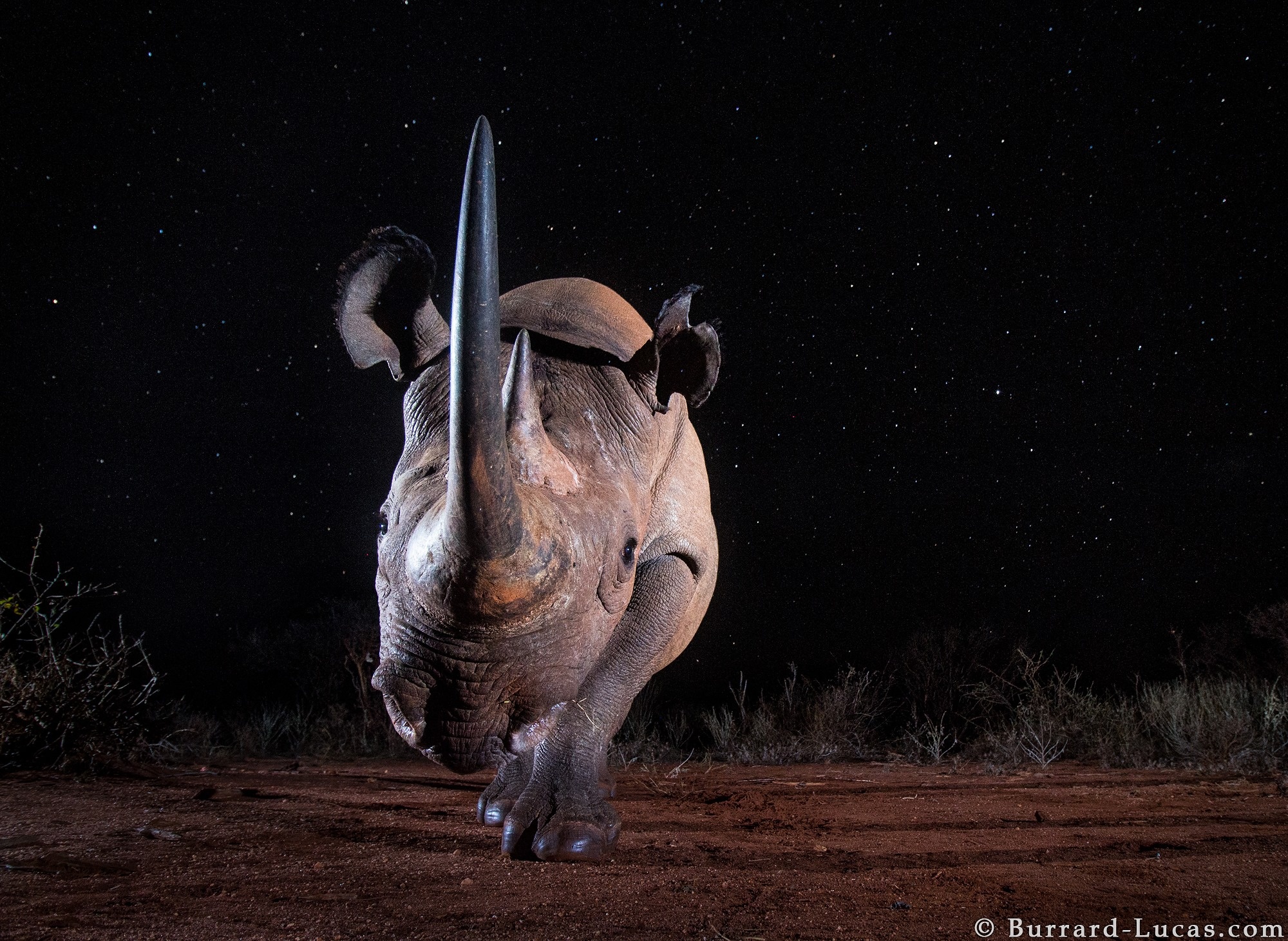 cuoc song cua te giac duoi ong kinh nhiep anh gia anh 3