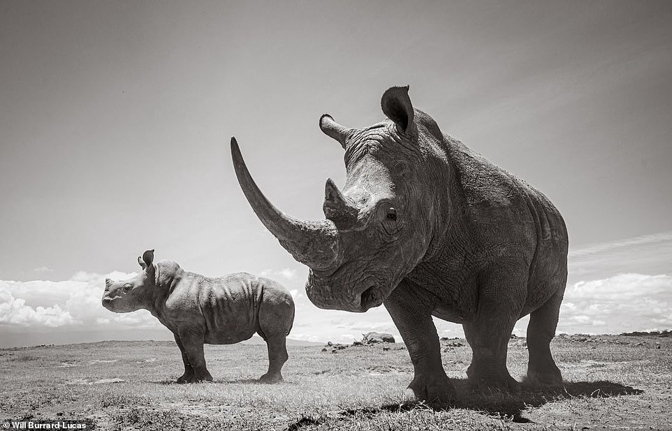 cuoc song cua te giac duoi ong kinh nhiep anh gia anh 12