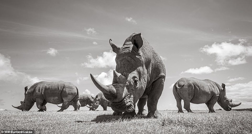 cuoc song cua te giac duoi ong kinh nhiep anh gia anh 13