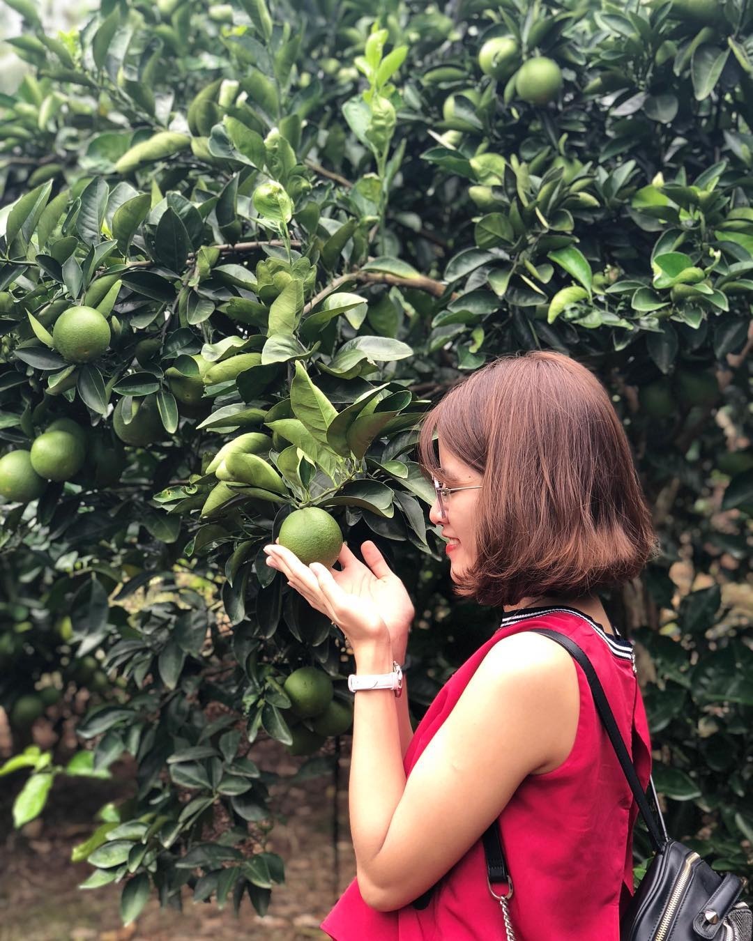 du lich mien Tay anh 1