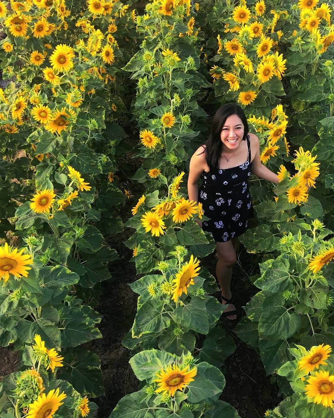 du lich mien Tay anh 12